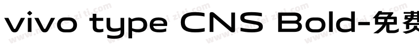 vivo type CNS Bold字体转换